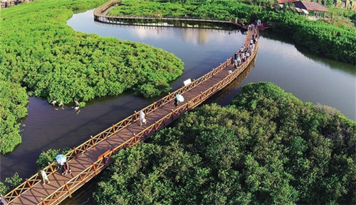 苏生镇江鸭血粉丝