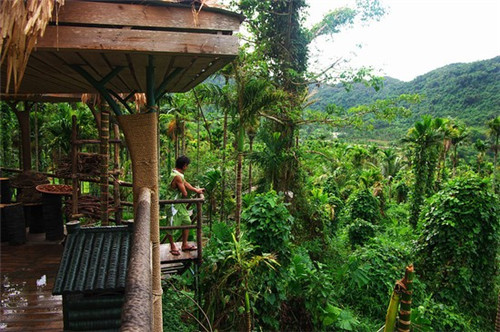 卡滋奇客脆脆鸡