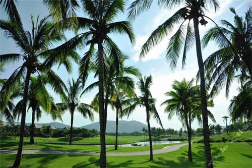 禾港御港式拌饭