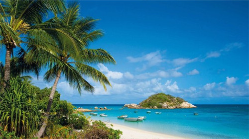 钱宝儿和风便当