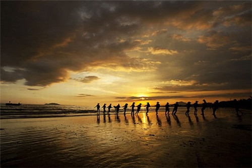 宁陵县东北大米加盟投资创业哪家品牌比较火爆，宁陵县粮油购销贸易有限公司